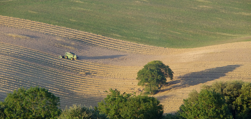 Harvest