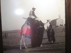 Le père A. Jaussen à Madaba.