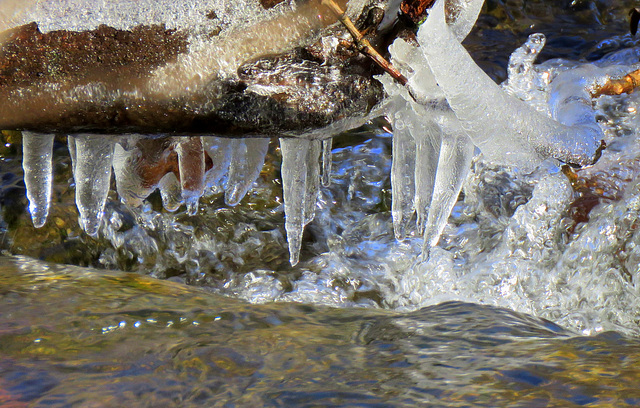 Ice on the river, November 18th in Michigan.