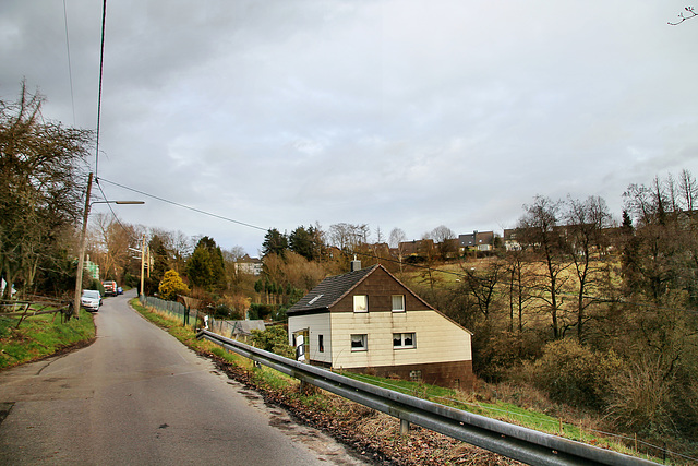 Wimmersberger Straße (Velbert-Tönisheide) / 5.02.2022