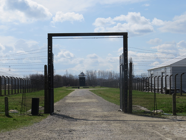 Birkenau, 4.