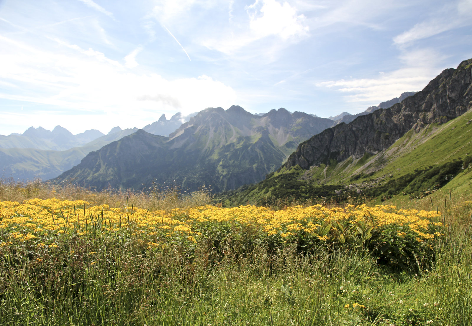 Auf dem Blumenweg bei Oberstdorf