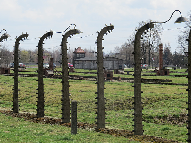 Birkenau, 5.