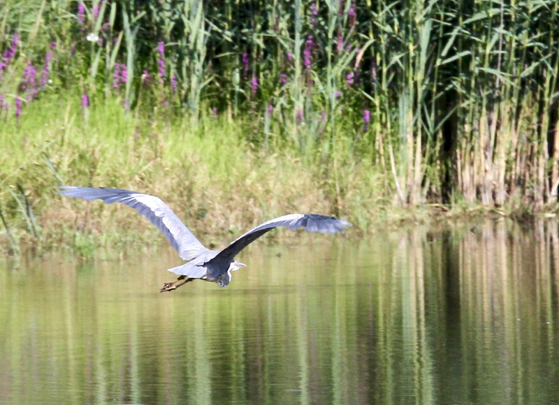 Abflug