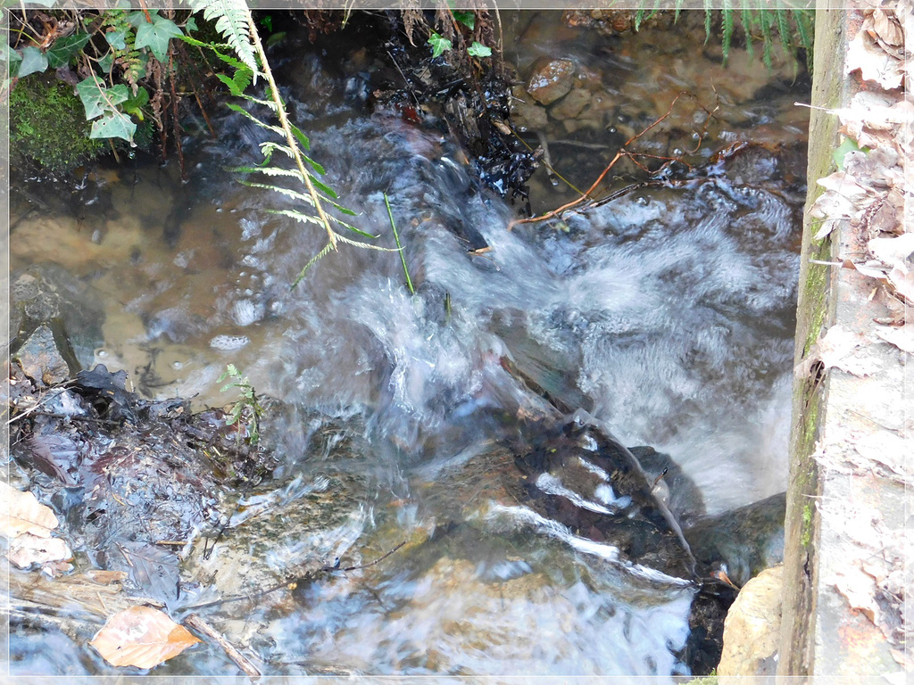 Sur le chemin des Mégalithes à Pleslin Trigavou (22)