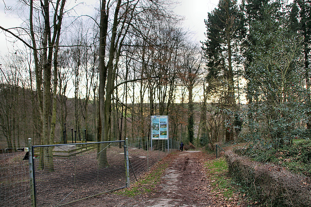 Wanderweg am Restaurant "Kleine Schweiz" (Velbert-Tönisheide) / 5.02.2022