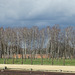 Birkenau, 7.