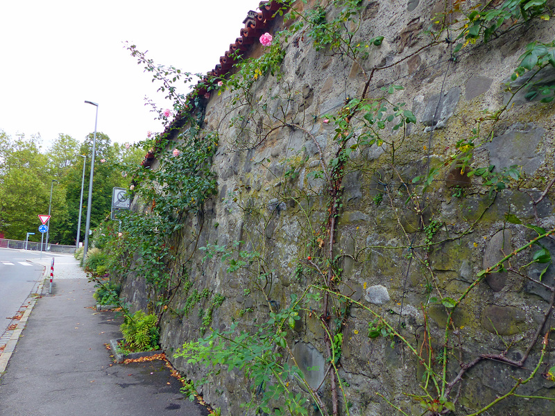 Die Mauer in Lindau