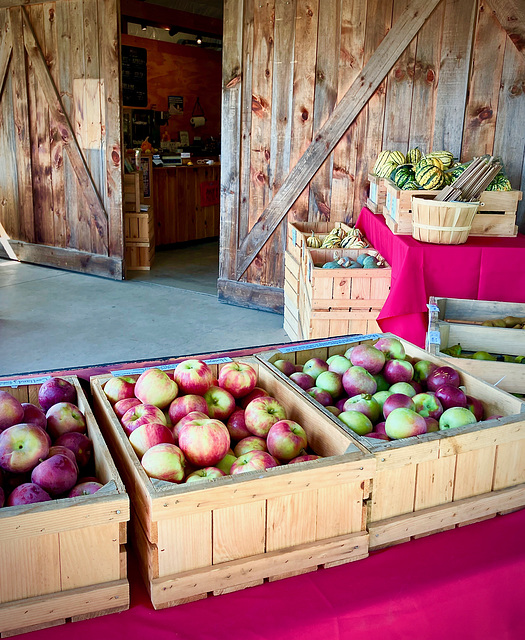 Orchard Bounty