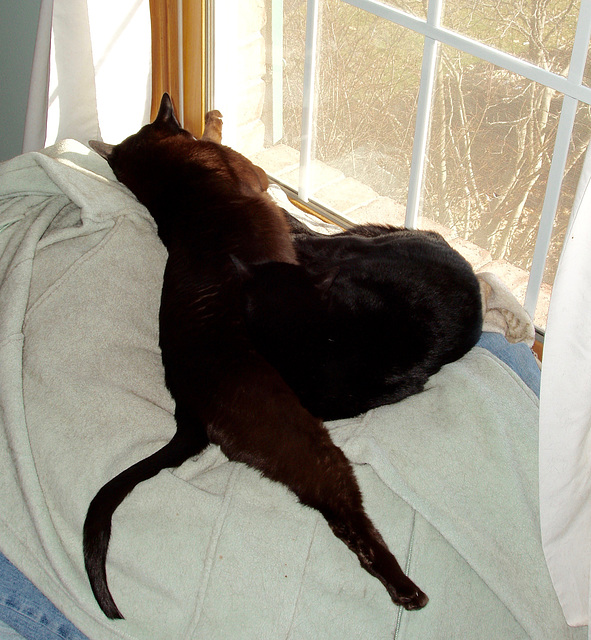 Dominic (in brown) and Kathy (in black) enjoying a rare moment of morning sun