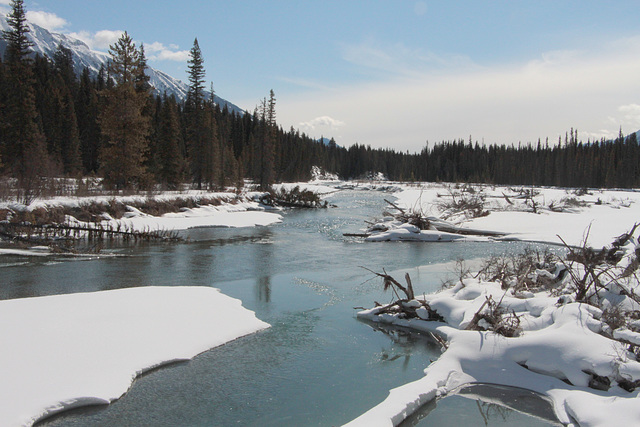 Kootenay River