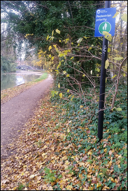 canalside signage clutter