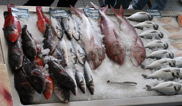 Fish market