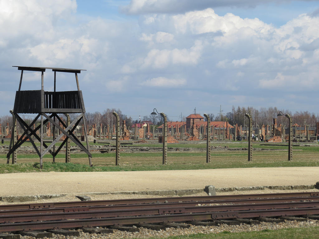 Birkenau, 6.