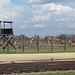 Birkenau, 6.