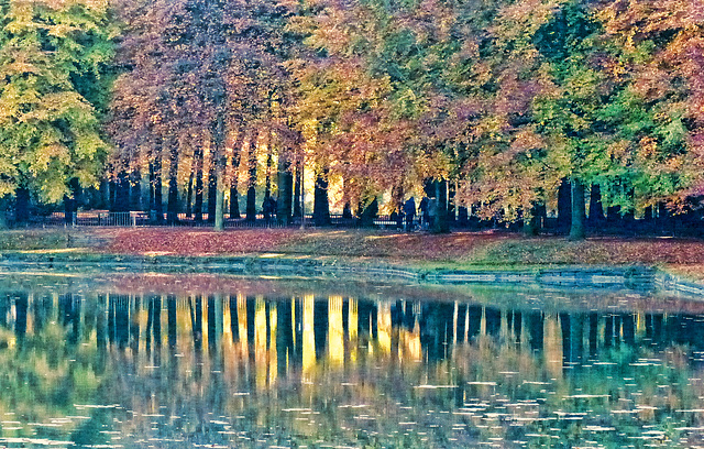 Autumn View parc "Ter Rivierenhof" Antwerp