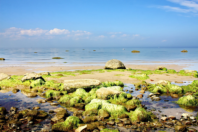 Schwarzer Busch, Strand