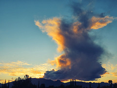 The Evaporating Cloud