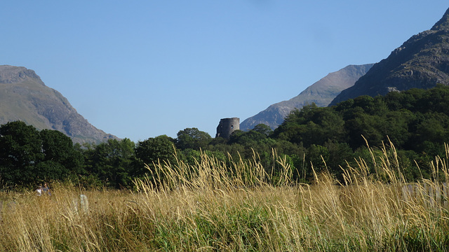 Dolbadarn Castle