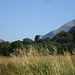 Dolbadarn Castle