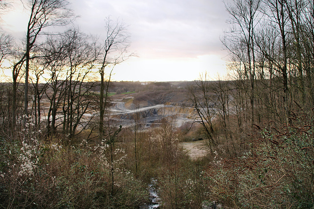 Blick in den Kalksteinbruch Silberberg (Velbert-Tönisheide) / 5.02.2022