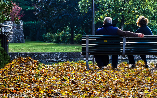 When the leaves come falling down