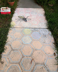 Pandemic chalk: Beehive 1
