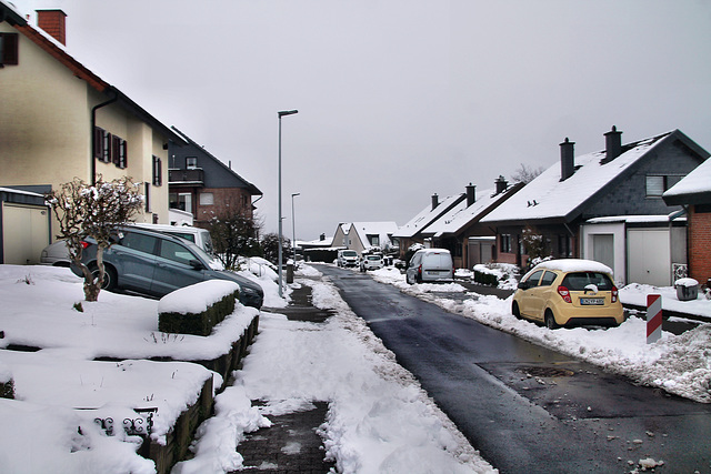 Hansering (Breckerfeld) / 8.03.2023