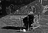 Neuss - Unter der Hammer Brücke_05
