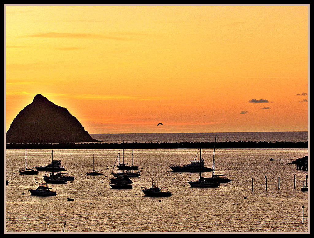 Sunset in the Harbour.