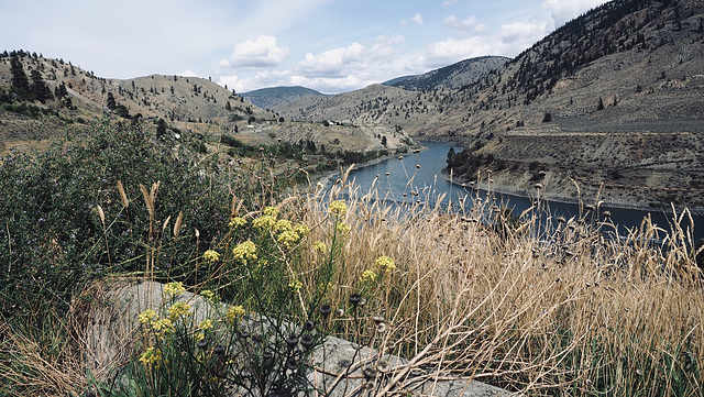 Thompson River, BC - Canada