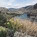 Thompson River, BC - Canada