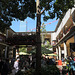 A tree in the Farmers' Market