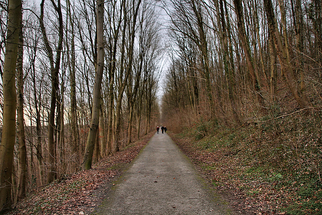 Wanderweg am Rand des Kalksteinbruchs Silberberg (Velbert-Tönisheide) / 5.02.2022