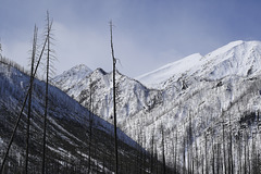 Kootenay National Park