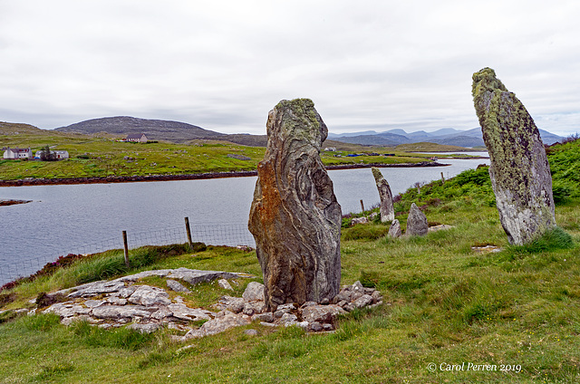 Turned to Stone