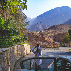Birdwatcher at Al Mazare