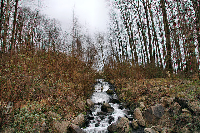 Der Eignerbach am Steinbruch (Velbert-Tönisheide) / 5.02.2022