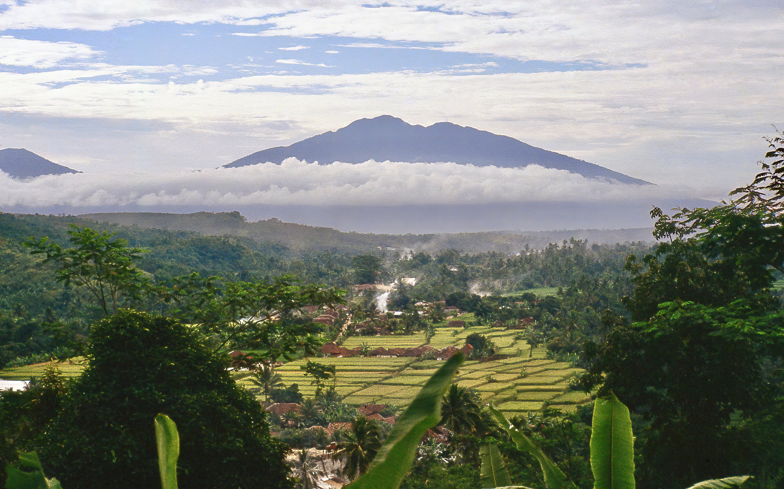 Puncak West Java Indonesia June 1981