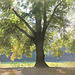 Herbst - Anfang