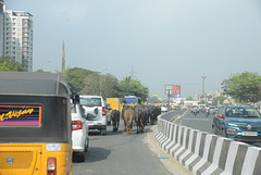 Heavy traffic:)
