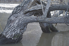 a high water mark