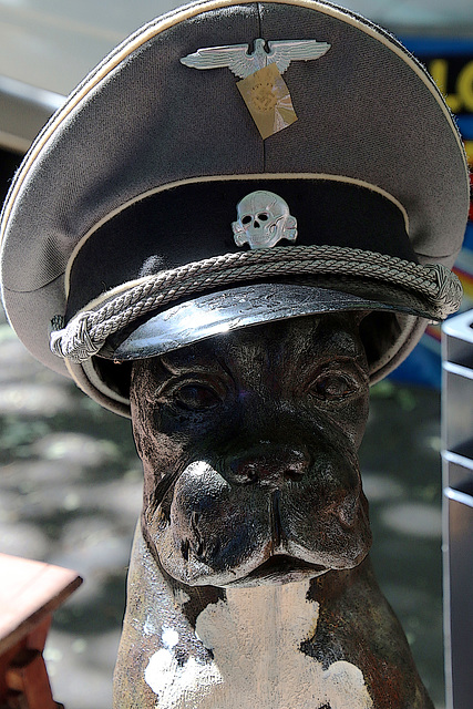 Humour noir , dogue allemand