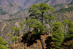 Caldera de Taburiente