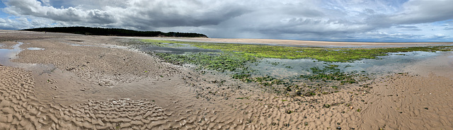 Findhorn beach on a busy July Thursday afternoon!