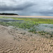 Findhorn beach on a busy July Thursday afternoon!
