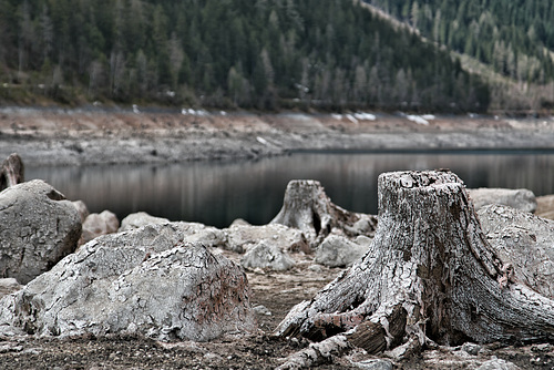 Vorderer Gosausee