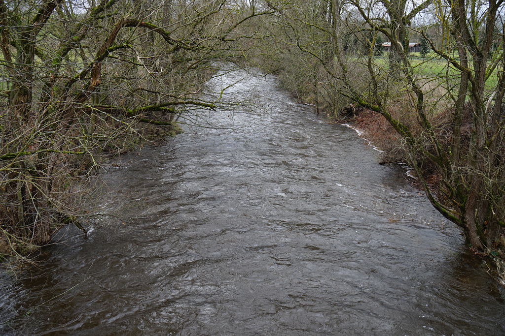 Fast schon Hochwasser im Januar