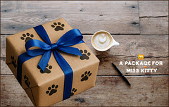 Die Spannung steigt ... Die Spannung steigt ...