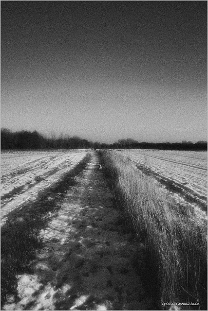 Field path...
